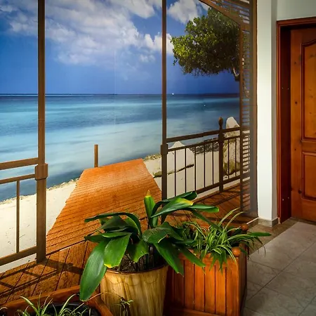 Kalypso Hotel Primorsko