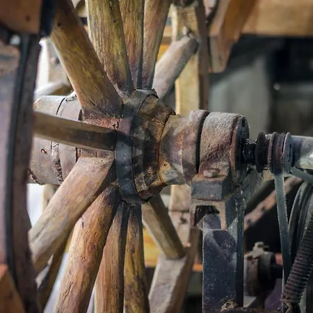 Kalypso Hotell Primorsko