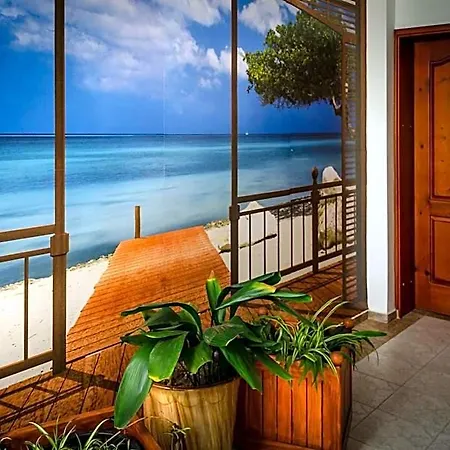 Kalypso Hotel 3*