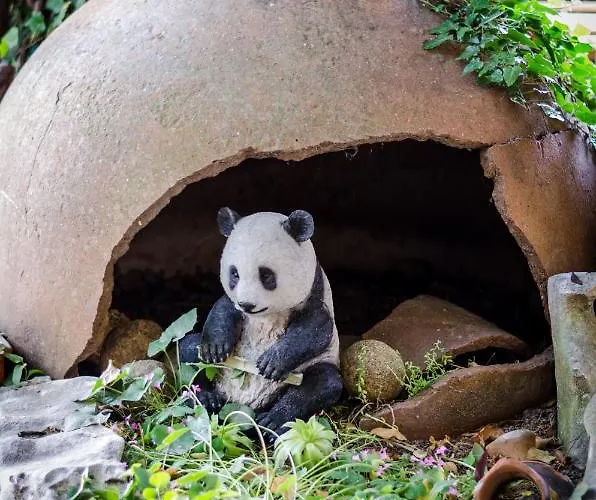 Kalypso Ξενοδοχείο 3*